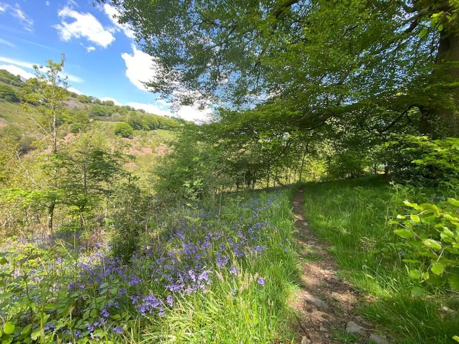 Вілла The Crest Hillside Retreat With Hot Tub Abertillery Екстер'єр фото